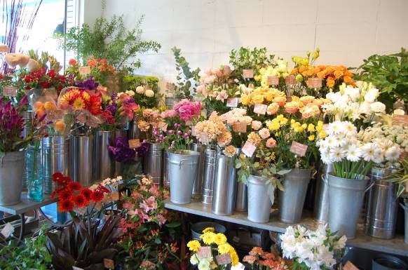 神奈川県藤沢市の花屋 フローラル ウィンズ本鵠沼店にフラワーギフトはお任せください 当店は 安心と信頼の花キューピット加盟店です 花キューピットタウン